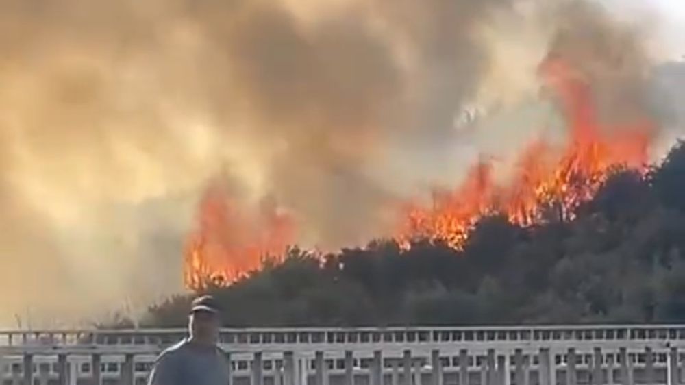 Bursa’da yangın çıktı yangın zeytinlik alana sıçradı