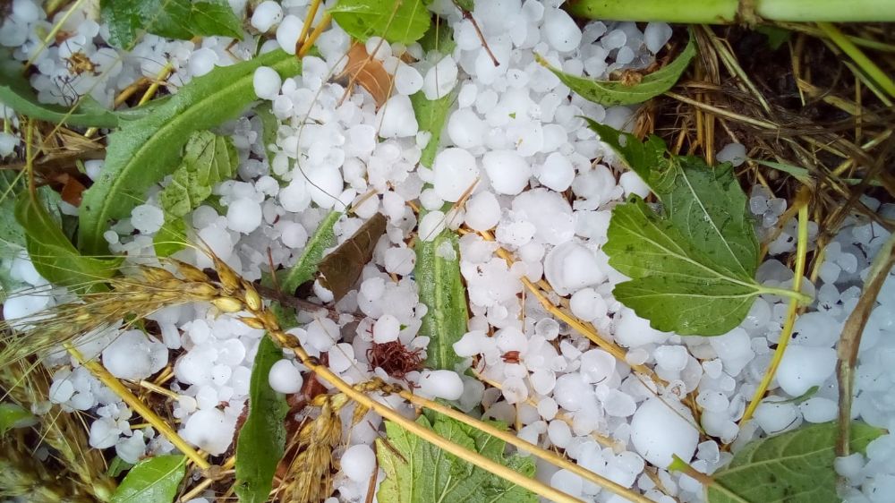 Çameli şiddetli dolu etkisini gösterdi