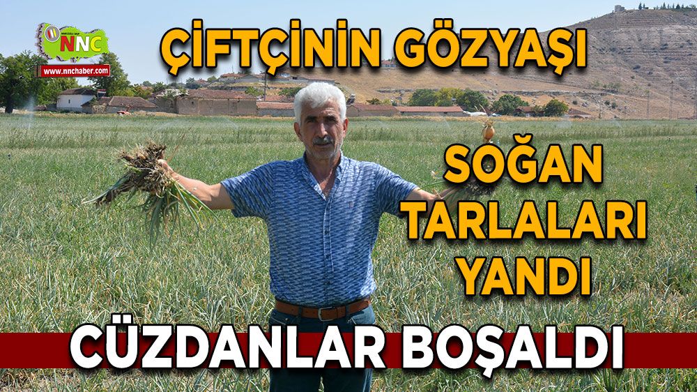 Çiftçinin gözyaşı, soğan tarlaları yandı, cüzdanlar boşaldı