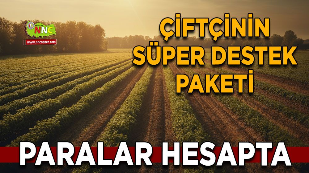 Çiftçinin süper destek paketi, paralar hesapta