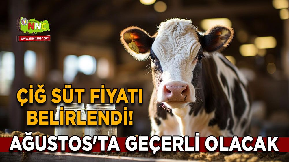 Çiğ süt fiyatı belirlendi! Ağustos'ta geçerli olacak