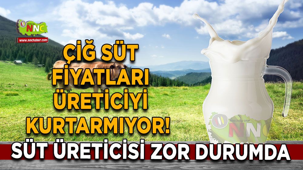 Çiğ süt fiyatları üreticiyi kurtarmıyor! Süt üreticisi zor durumda