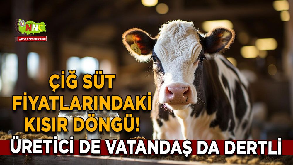 Çiğ süt fiyatlarındaki kısır döngü! Üretici de vatandaş da dertli