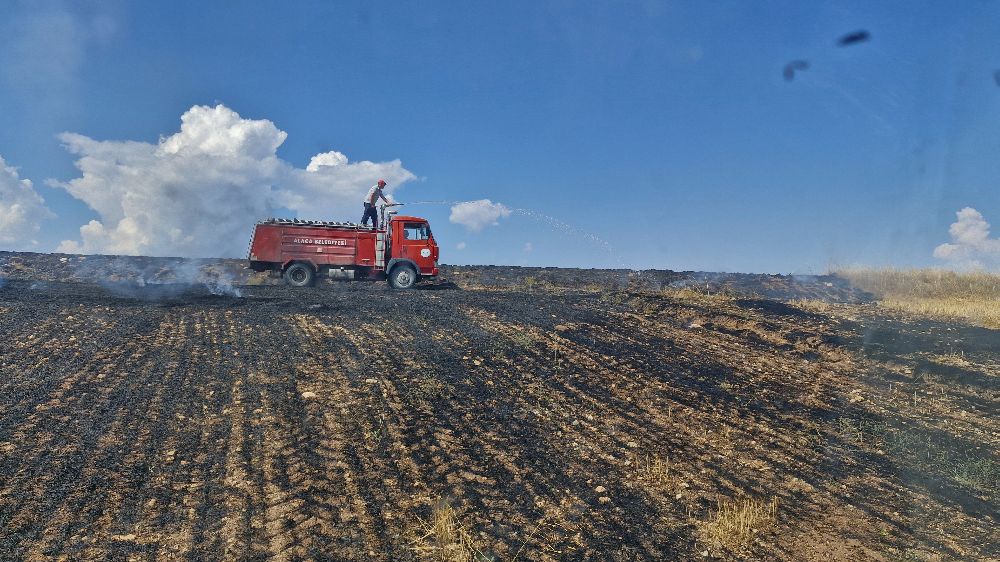 Çorum'da arazi yangını