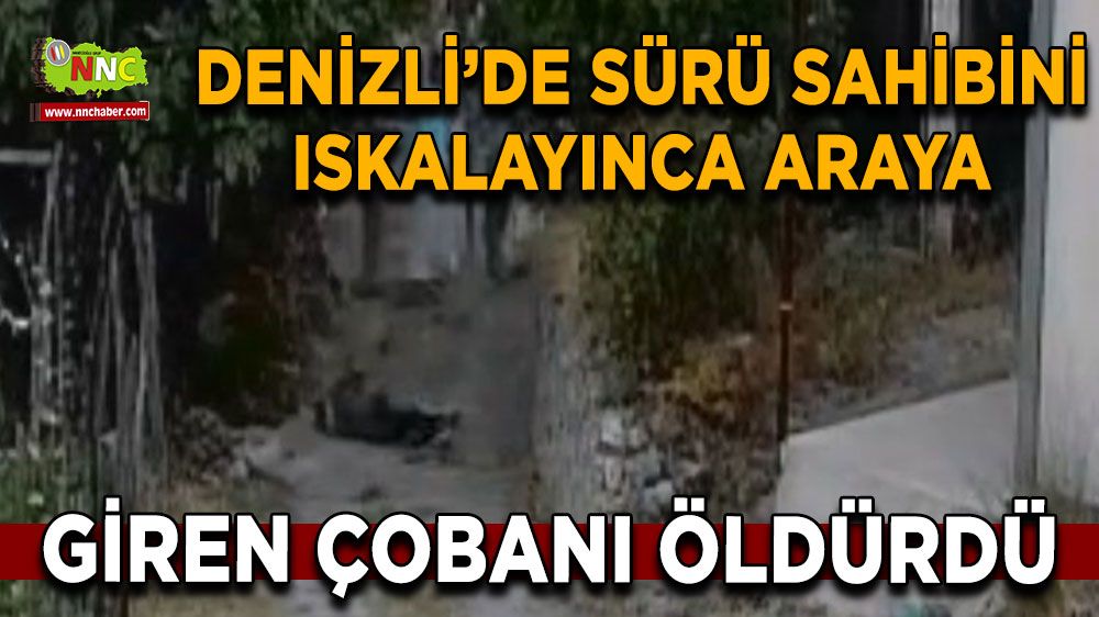 Denizli'de kavgayı ayırmaya çalışan çobanı öldüren yaşlı adamın sürü sahibiyle husumetli olduğu ortaya çıktı