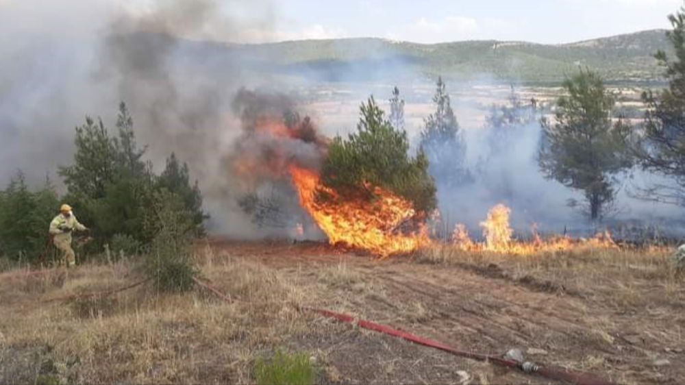 Denizli'de Makilik alanda yangın çıktı