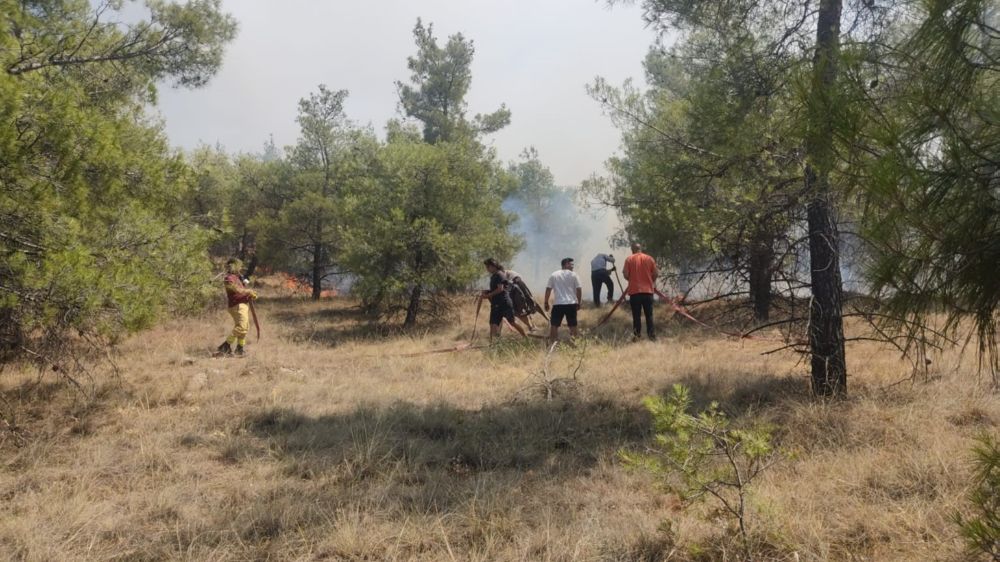  Denizli’de orman yangını