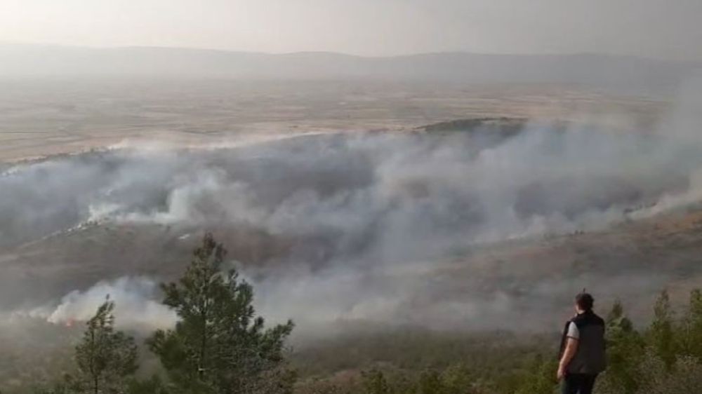 Denizli'de orman yangını