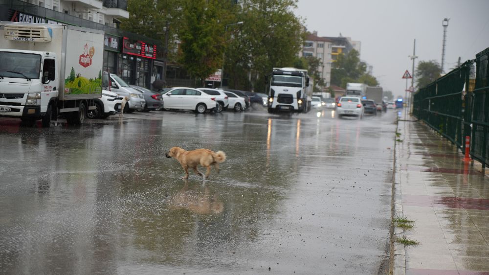 Edirne'de sağanak yağmur zor anlar yaşattı