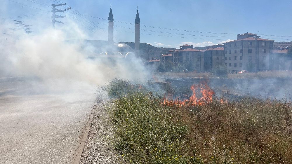 Eskişehir'de ot yangını paniğe sebep oldu