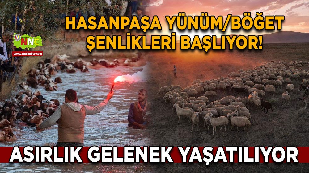 Hasanpaşa Yünüm/Böğet Şenlikleri Başlıyor! Asırlık Gelenek Yaşatılıyor