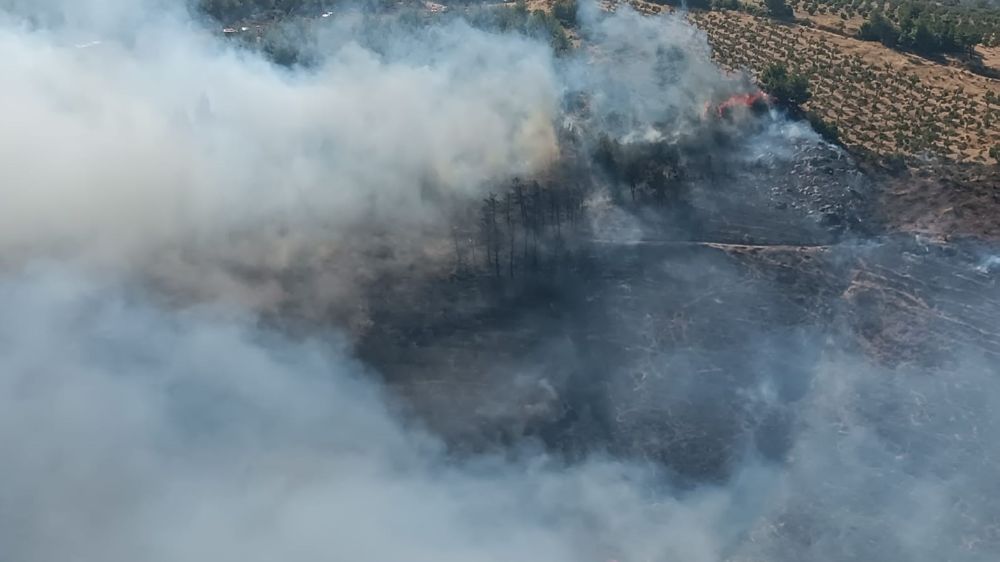 Hatay’da orman yangını Havadan karadan müdahale