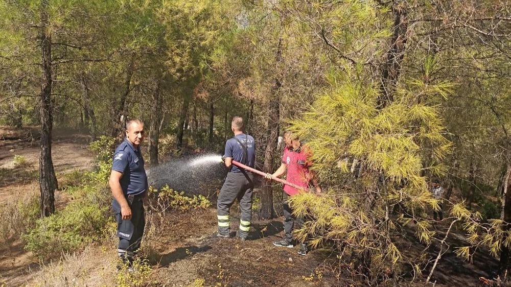 Hatay’da örtü yangını korkuttu; ekiplerin hızlı müdahalesi büyümeye engel oldu