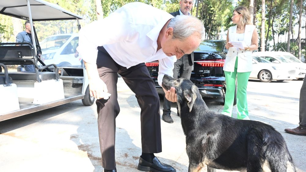 "İddialar asılsız, görüntüler yanıltıcı, yakılma yok. Köpek uzun zaman önce ölüp çürümüş