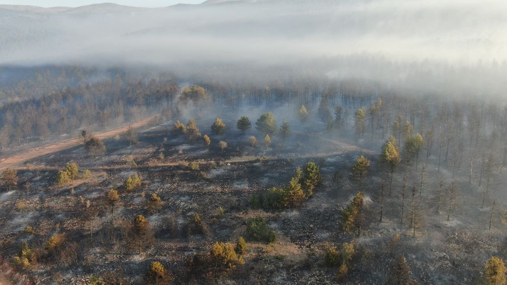 Ilgaz'da yanının 14. saati