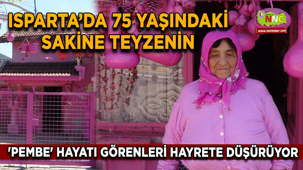 Isparta'da 75 yaşındaki Sakine teyze pembe eviyle görenleri hayrete bırakıyor