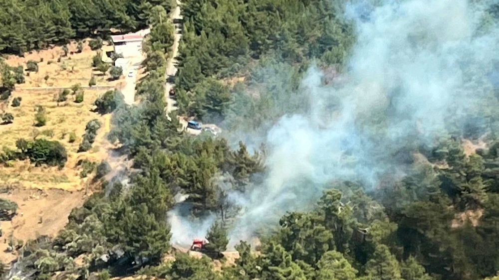 İzmir'de ormanlık alan yangınına  müdahale ediliyor