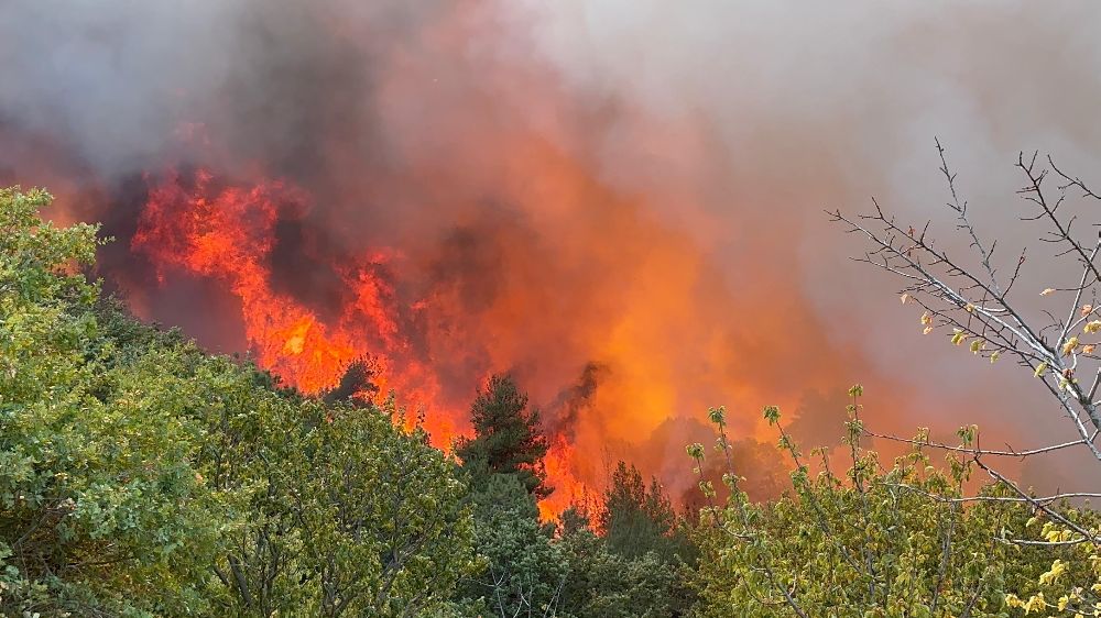 İznik'te orman yangını Havadan karadan müdahale