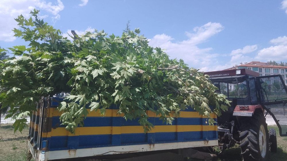 Kahramankazan Belediyesi bakım çalışmalarına hız kesme devam ediyor 