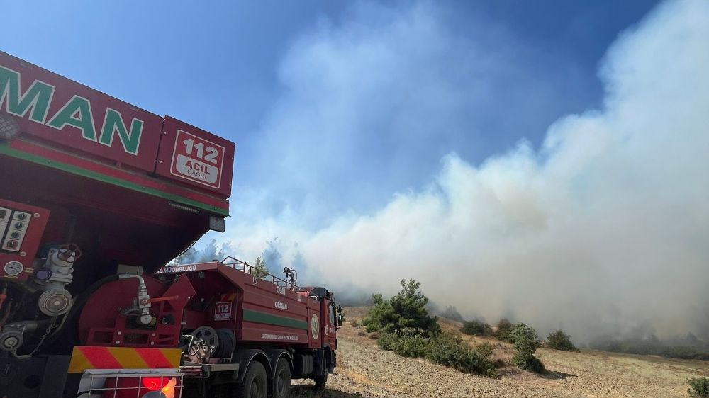  Kahramanmaraş’ta orman yangını çıktı