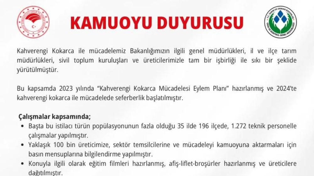  Kahverengi kokarca ile mücadele için 300 bin samuray arısı doğaya bırakılacak