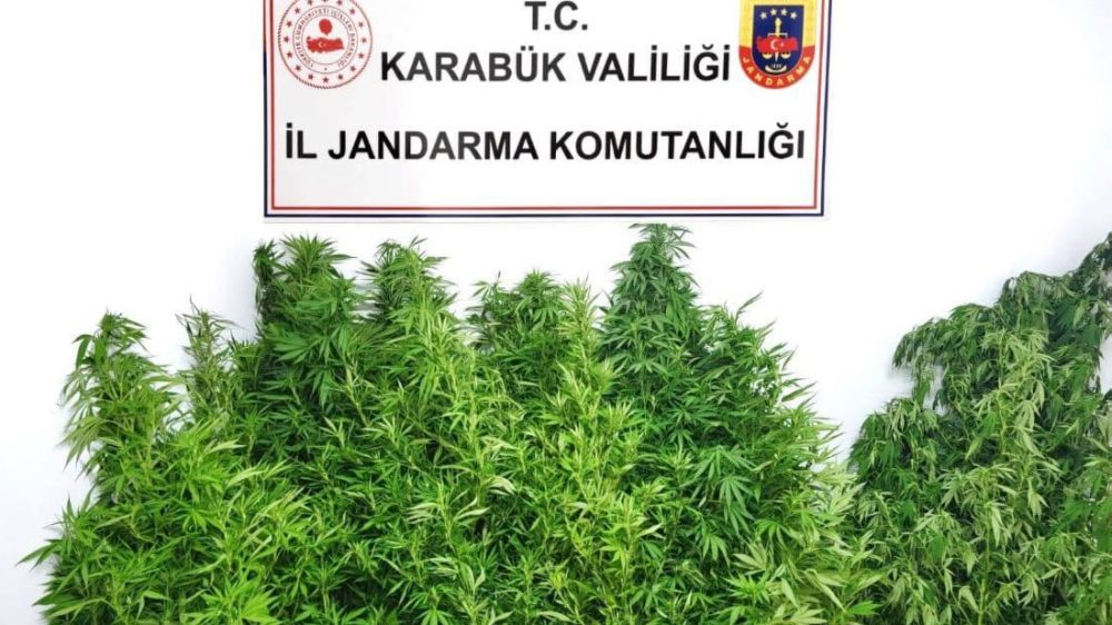 Karabük'te 29 kök kenevir ve 5 bin 450 gram esrar maddesi ele geçirildi