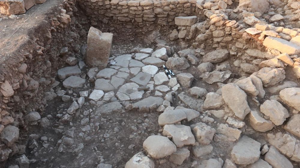 "Karahantepe’deki bir kulübenin tabanında koşar halde betimlenen yaban eşeği figürüne ulaşıldı"