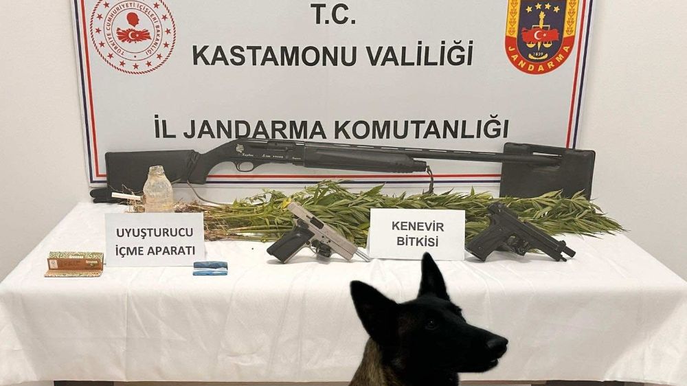 Kastamonu'da jandarma ekiplerince uyuşturucu operasyonu