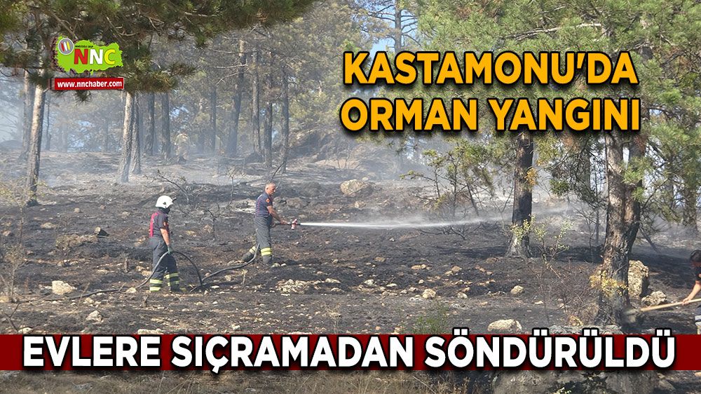 Kastamonu'da orman yangını, evlere sıçramadan söndürüldü