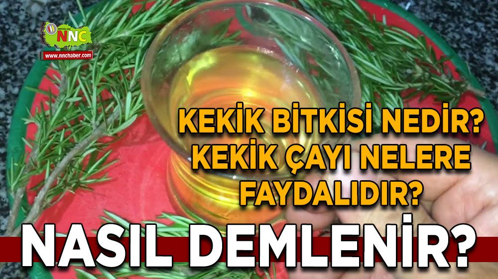 Kekik Bitkisi ve Kekik Çayı Faydaları, Kekik Çayı Nasıl Demlenir?