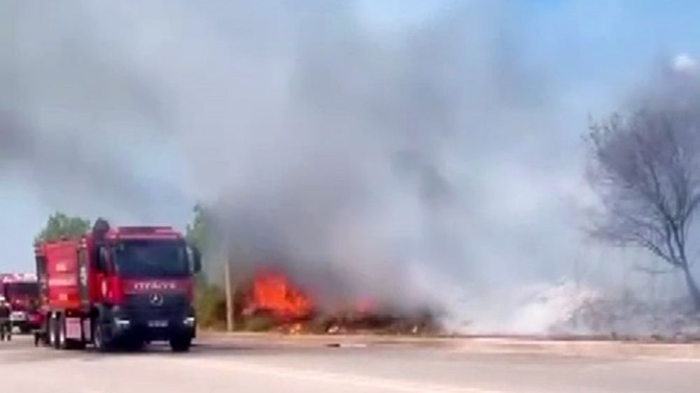 Kocaeli'de ağaçlık alanda çıkan yangın itfaiye ekipleri tarafından  söndürüldü