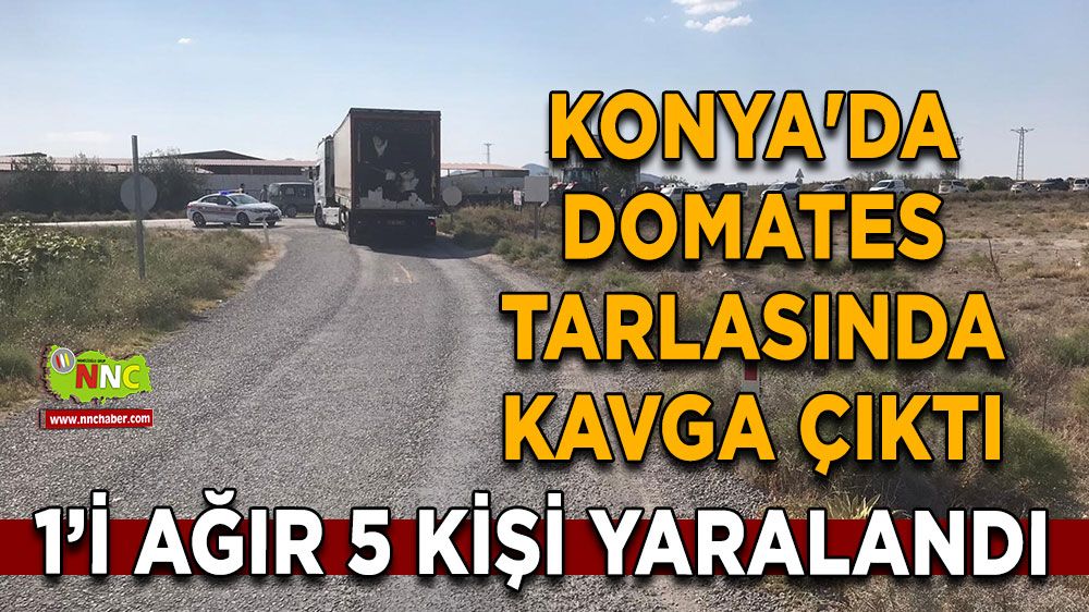 Konya'da domates tarlasında birbirlerine girdiler!