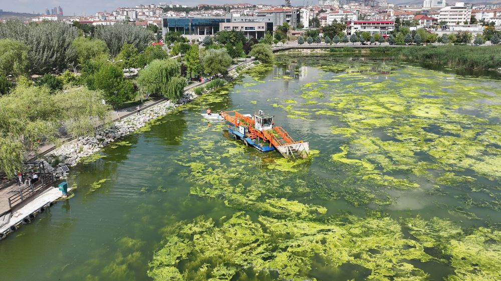 Mogan Gölü'nde başlatılan kapsamlı temizlik çalışmaları bitmek üzere