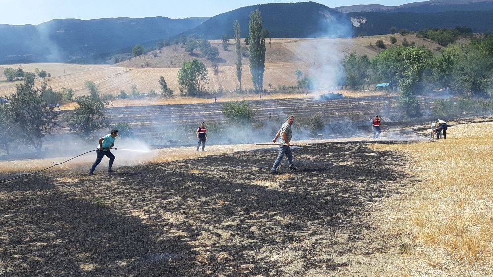 Mudurnu'da çıkan yangına köylülerin erken müdahalesi 