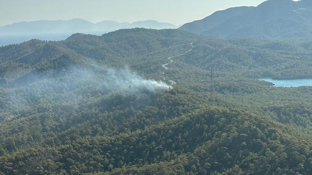 Muğla'da orman yangını çıktı Havadan karadan müdahale