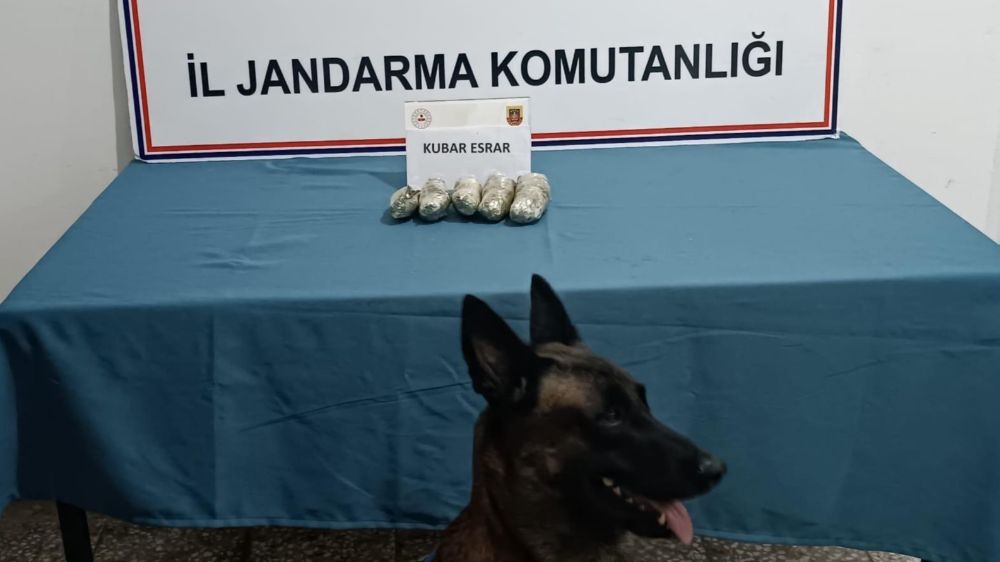 Osmaniye'de jandarmadan operasyon 