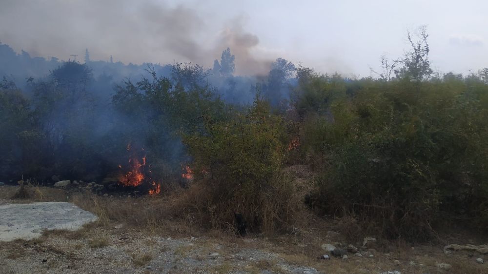 Osmaniye'de makilik alanda çıkan yangın hızlı  müdahaleyle söndürüldü