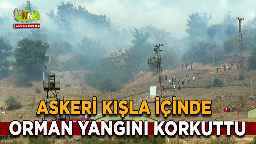 Sakarya son dakika! Askeri kışla içinde orman yangını