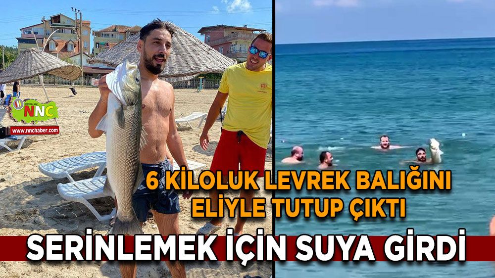 Serinlemek için suya girdi, 6 kiloluk levrek balığını eliyle tutup çıktı