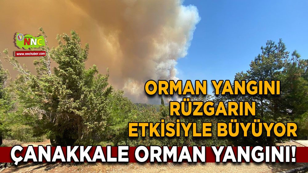 Son dakika orman yangını! Çanakkale'de orman yangını büyüdü, uçak helikopter akın etti