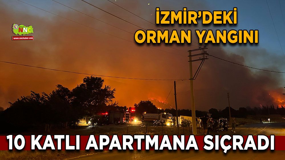 Son dakika orman yangını! İzmir'deki alevler 10 katlı apartmana sıçradı