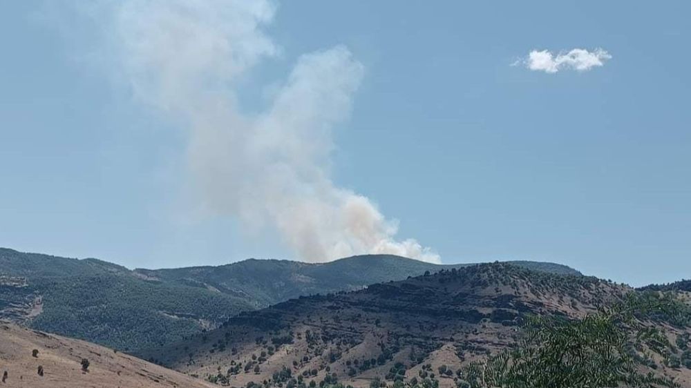 Tunceli’de orman yangını çıktı 