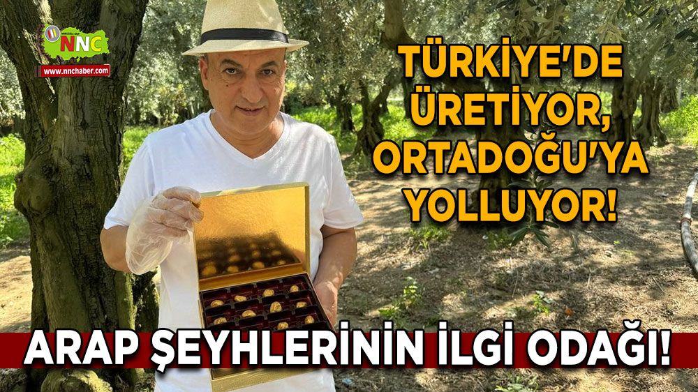 Türkiye'de üretiyor, Ortadoğu'ya yolluyor! Arap şeyhlerinin ilgi odağı! 24 adeti 300 dolar