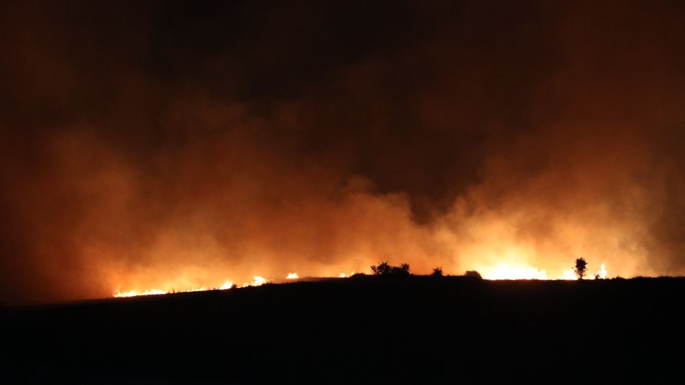 Yozgat’ta anız yangını