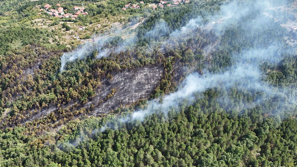 Zonguldak'ta orman yangını; 22 dönüm arazi zarar gördü