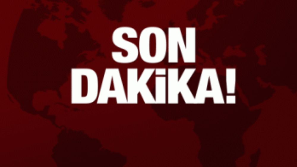 Ankara'da Köpek kavgası 1'i çocuk 7 kişi yaralandı