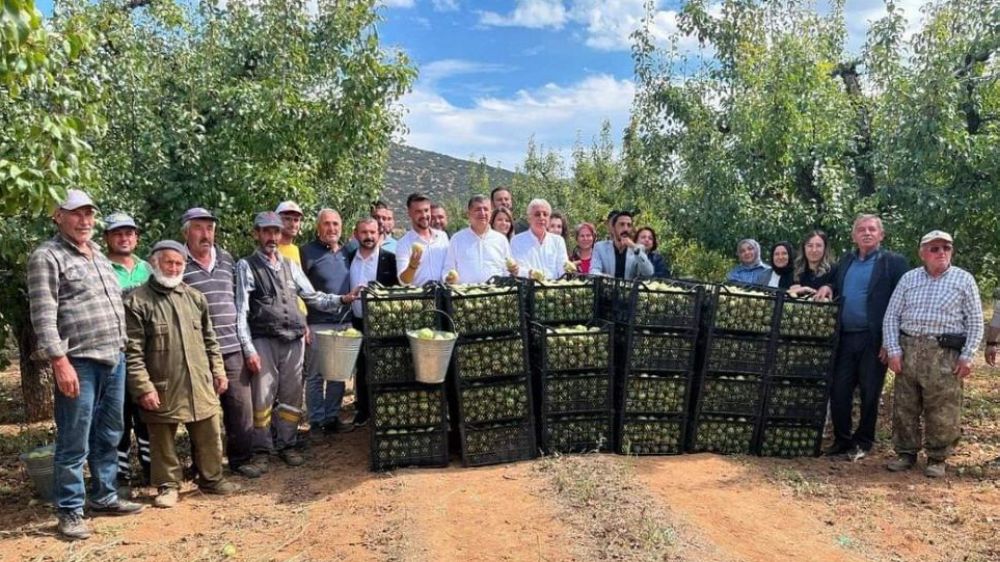 Antalya CHP’liler  Korkuteli ilçesinde   Elma ve Armut Hasadına Katıldılar