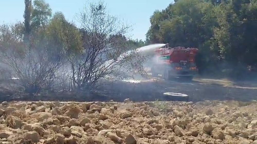 Antalya'da sazlık yangını! Ekipler seferber oldu