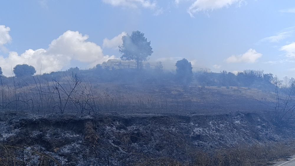 Antalya’da tarım arazisinde yangın çıktı