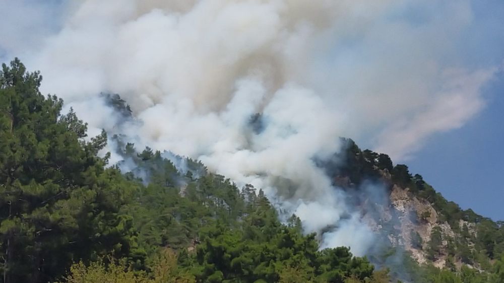 Antalya Kumluca’da orman yangını 